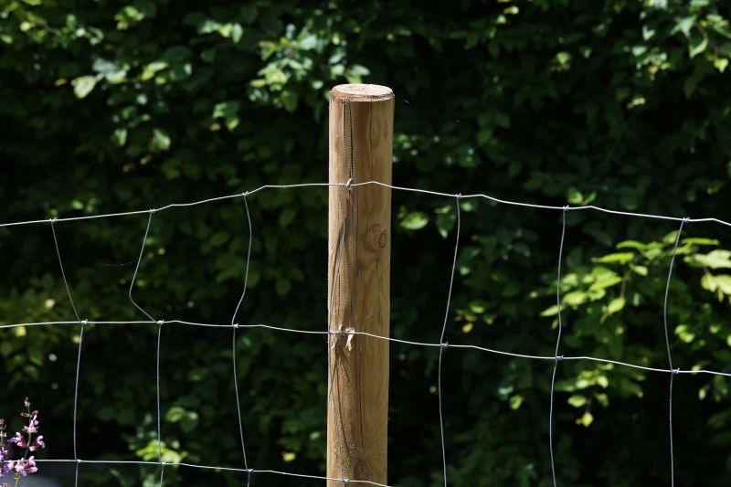 Wire Fence Painting