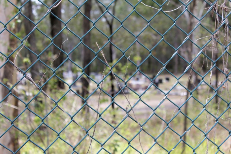 Wire Fence Painting